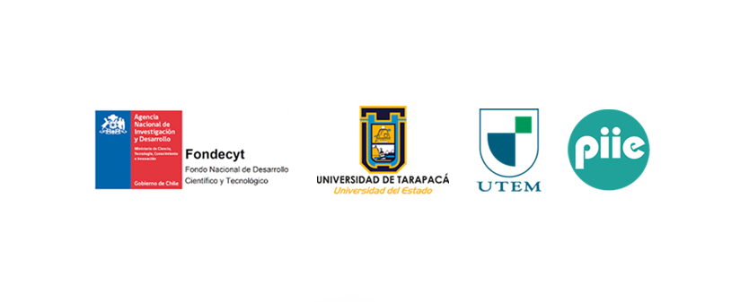 CONVOCATORIA PARA SUBSIDIO A TESISTAS – PROYECTO FONDECYT N° 1230080